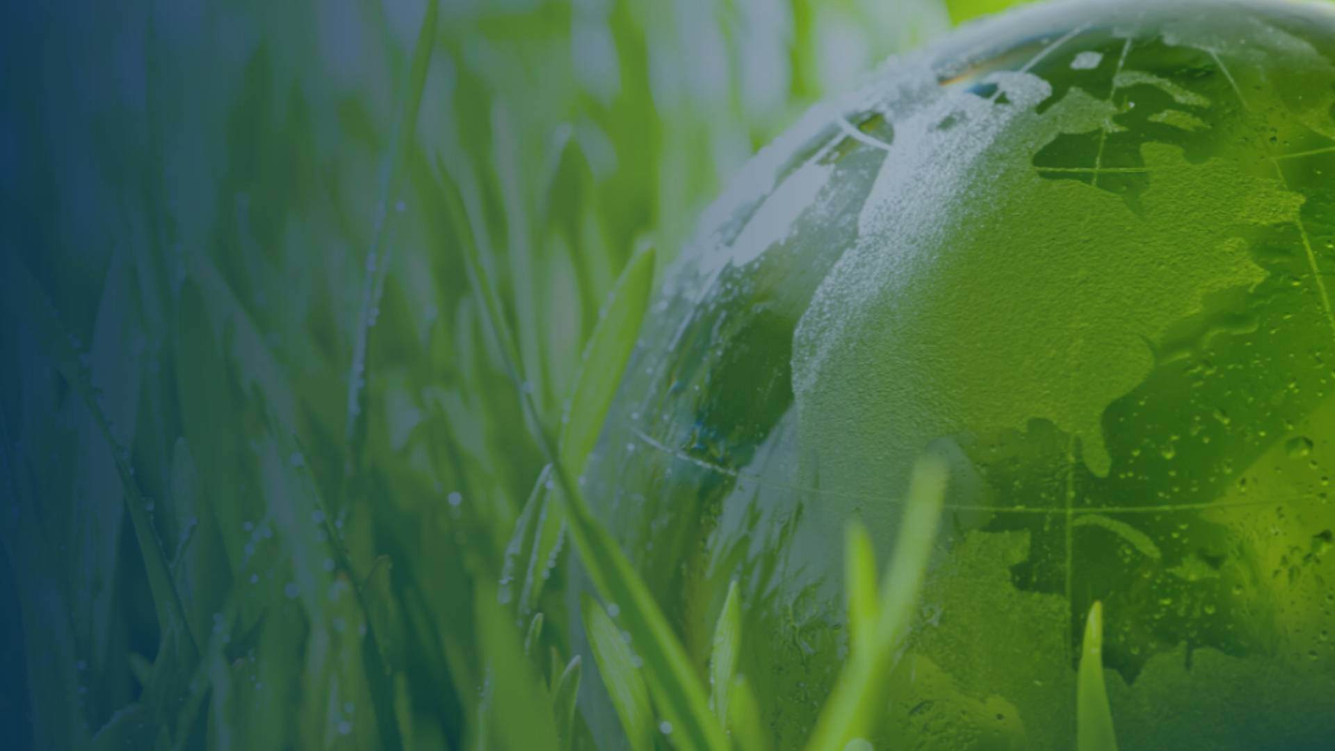 Zero Foam Waste 1920 x 1080